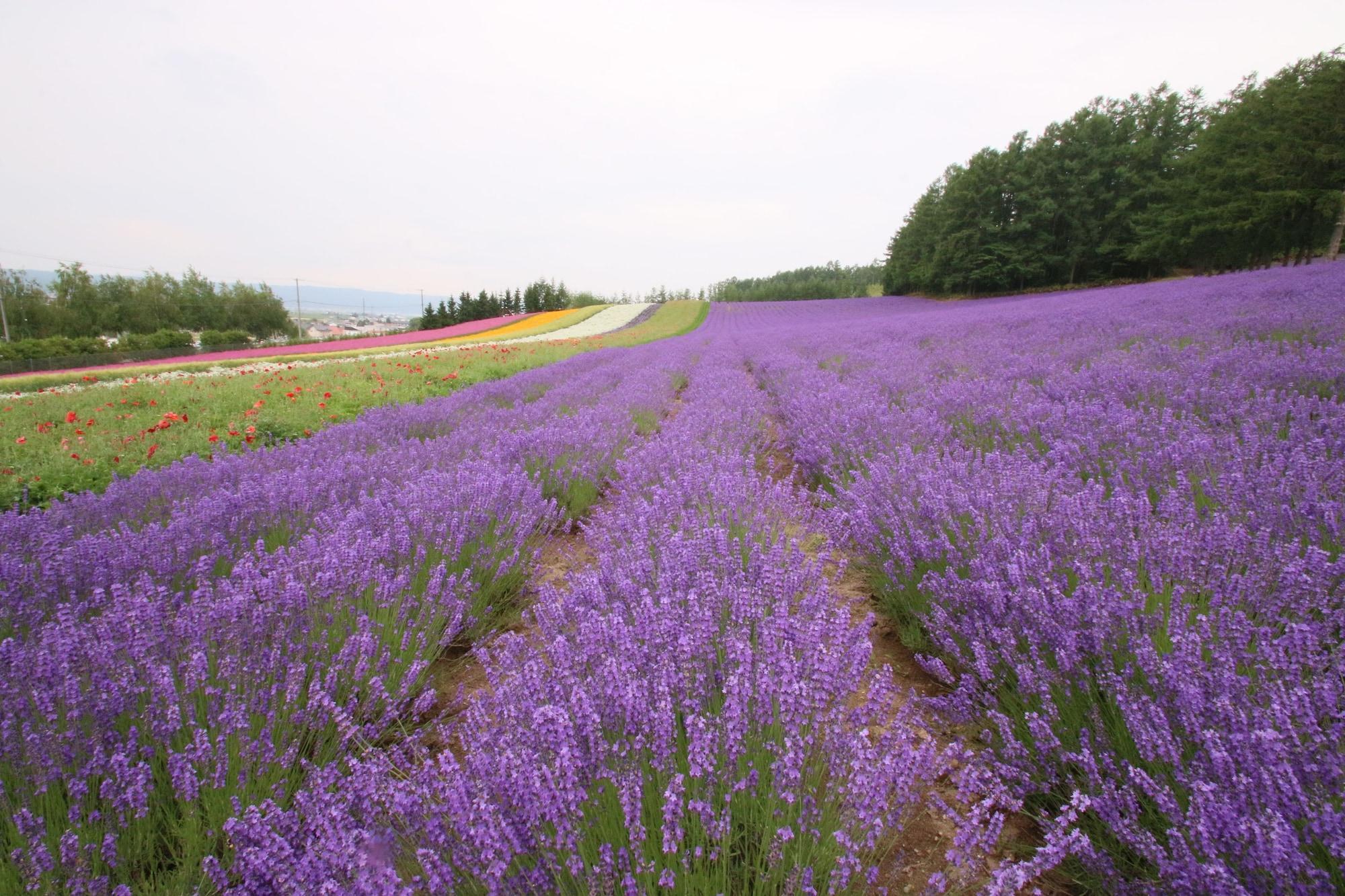 Furano Shiyuirin Hotell Kamifurano Eksteriør bilde