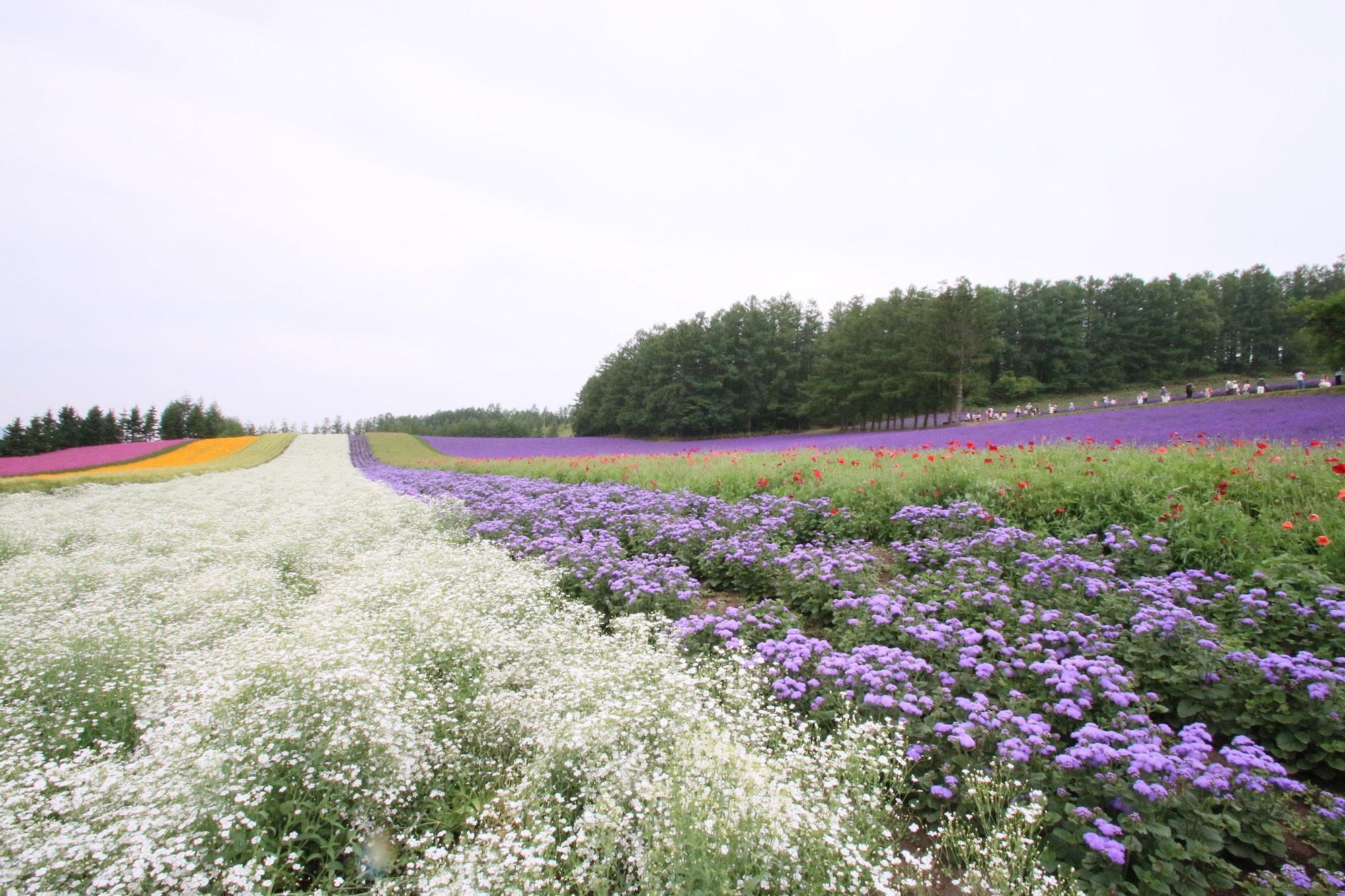 Furano Shiyuirin Hotell Kamifurano Eksteriør bilde