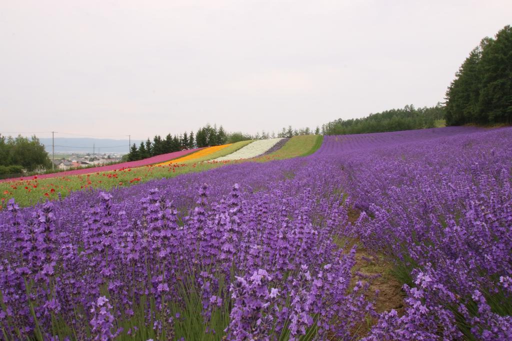 Furano Shiyuirin Hotell Kamifurano Eksteriør bilde