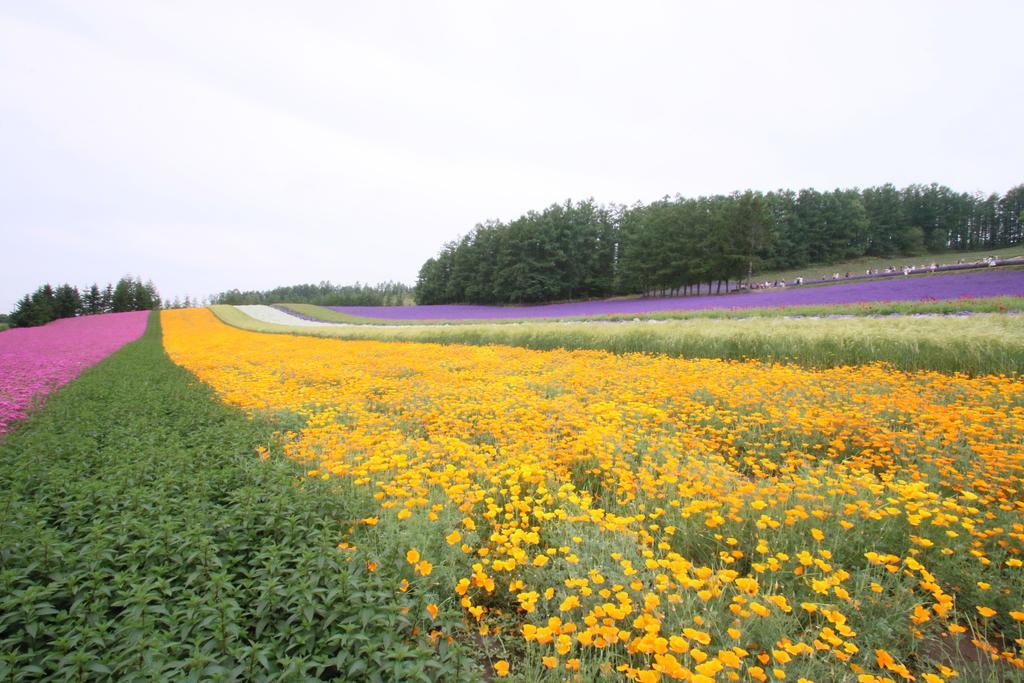Furano Shiyuirin Hotell Kamifurano Eksteriør bilde